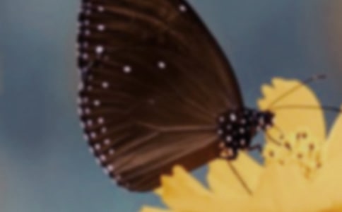 Сѧ����������ʾ����