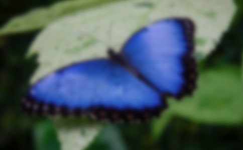 ���������Ƽ�ɵ��ľ���