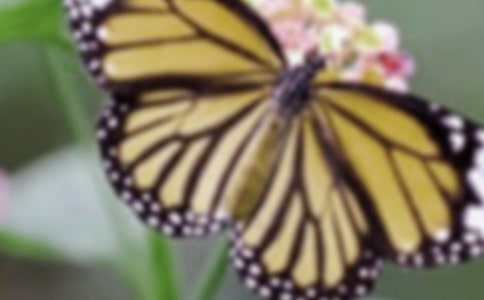 ��д�����ľ���