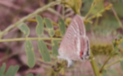 ���ں�����Ψ������