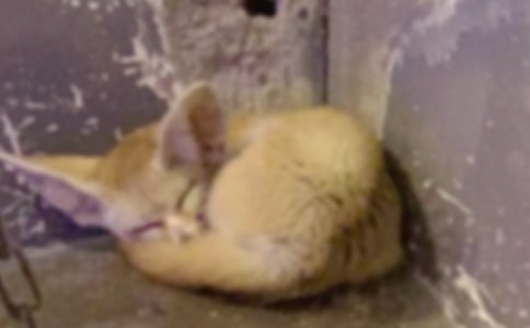 [�ر�]�ٱ�����ƭһ�ζ����