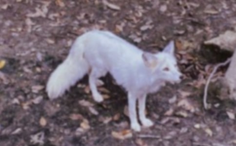 ���������ѻ����ѧ��˼���15ƪ