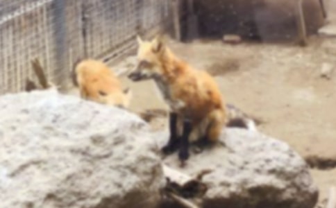 ���˲���ĺ���ְ֡�����С����㡿