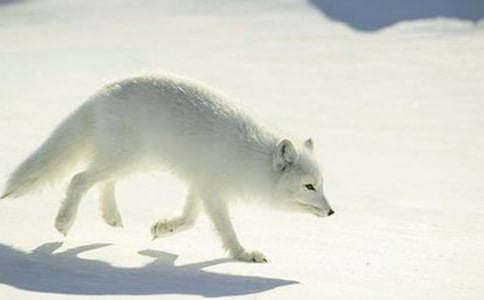 ���������ѻ����д�������꼶