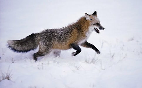 ����ѻ�ͺ��꡷��ѧ��˼(15ƪ)