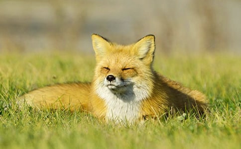 ���˲���ĺ���ְ֡�����д�ȫ��15ƪ��