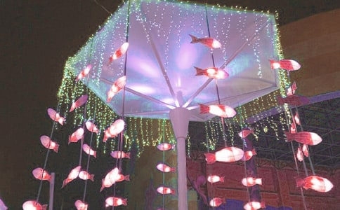 有关看花灯日记模板七篇