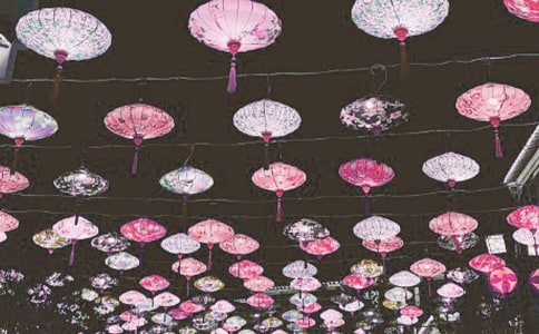 看花灯日记汇总八篇