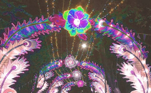 �����š��������ռ���ƪ