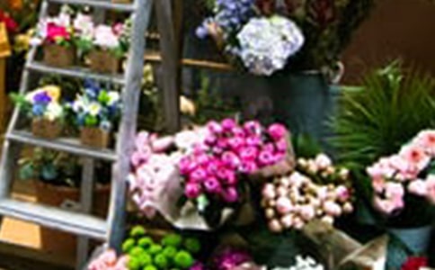 �ʻ����Ψ������