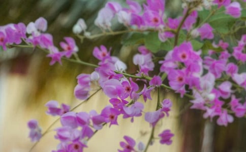 ��д����ľ���12ƪ