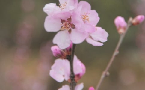 д����ľ���