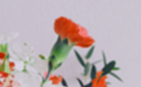 描写春天花朵绽放的句子