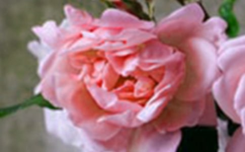 �û������