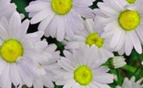 ���ڼ�����Ļ����������