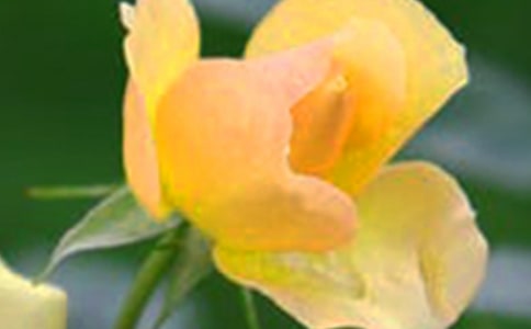 ��д����ľ���