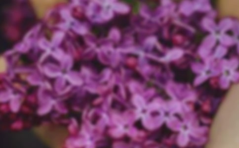 2023年形容花朵的句子29条