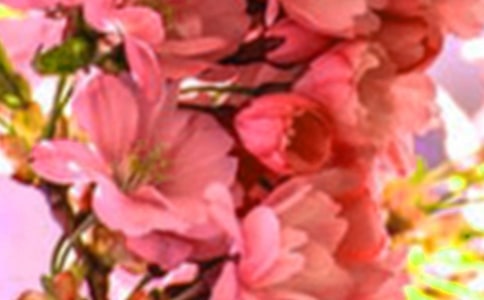 ����������롷�����