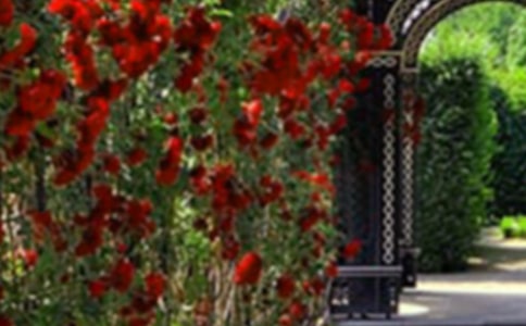 《巨人的花园》教学反思(汇编15篇)