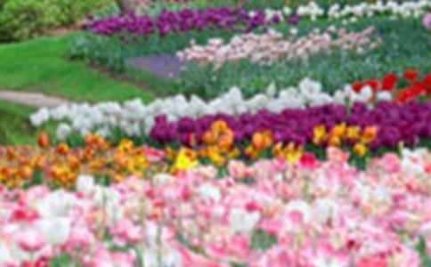 �����Ļ�԰���꼶����