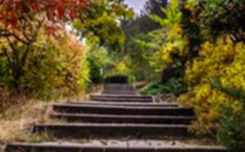 (精品)《巨人的花园》教学反思