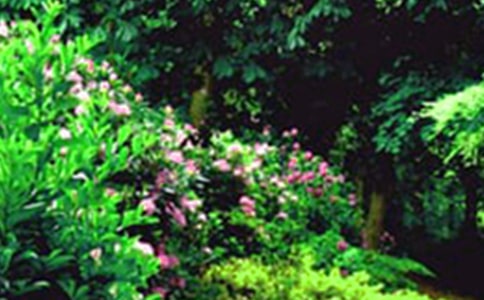 ���˵Ļ�԰˵�θ�(15ƪ)