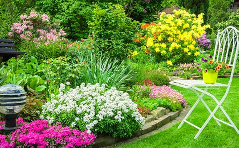 读《巨人的花园》有感