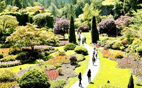 《巨人花园》说课稿