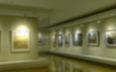 �黭չ��ܽ�