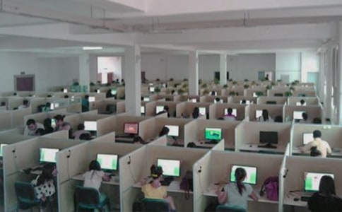 ����������Ա�����ܽ�