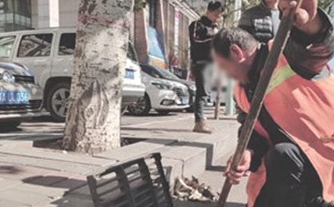 赞美环卫工人的经典句子