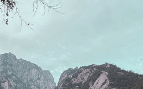 小学游黄山作文