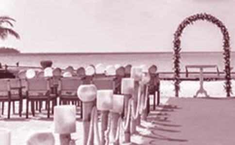 婚礼证婚人贺词(14篇)