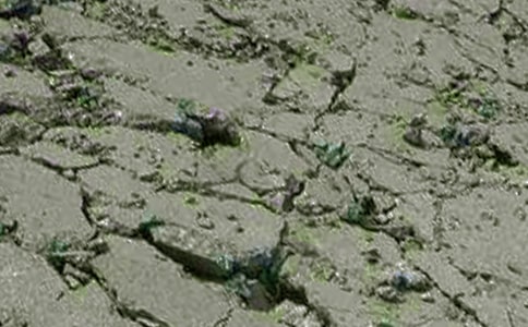 ��Ʒ�����������ͬ4ƪ