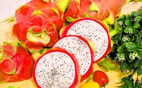 �������꼶������������ƪ