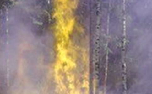 预防火灾倡议书15篇