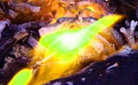 ���������ĵ����