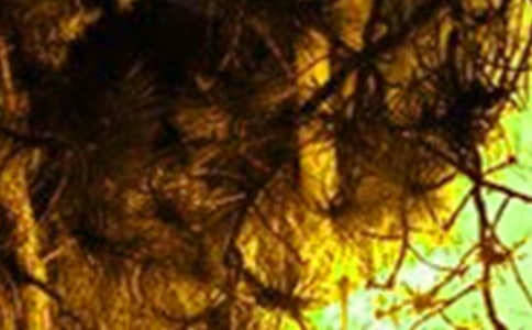 [��ѡ]�����¹��ĵ����15ƪ