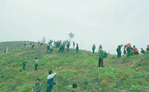 ������淢�Ը�5ƪ