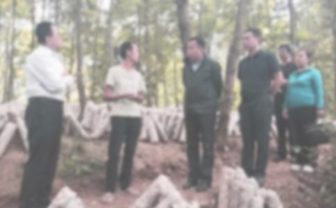 Υ��Υ�ͼ�����