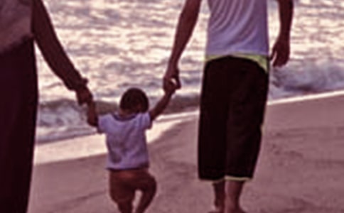 ��ͥ�����ĵ������°�