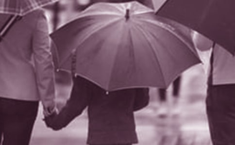 ��ͥ���������»�ܽ�