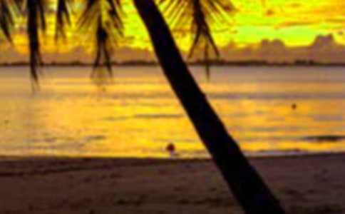 ����ţ�ļ��ڡ������