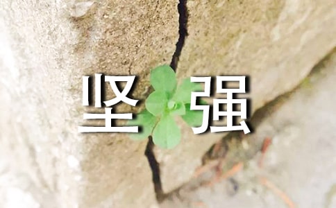 经典形容坚强的句子合集47句
