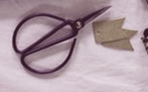 �㵴ɽ�����嵼�δ�-�㽭���δ�