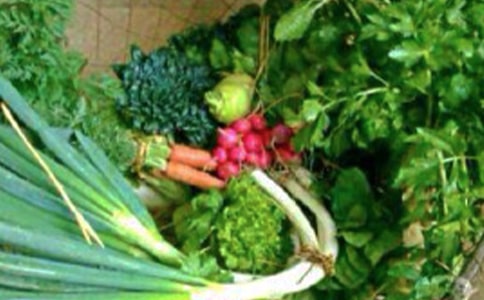 健康平安的句子