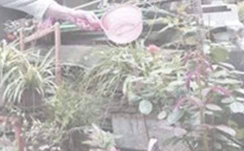 ���ڽ������ռ�