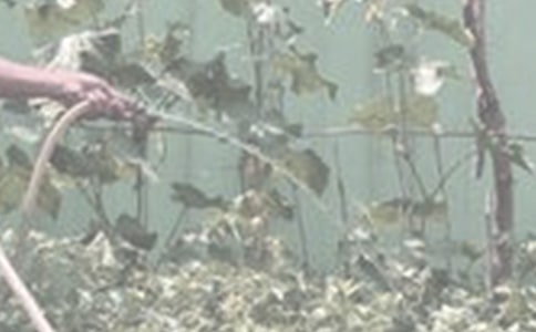 �������꼶�������ĺϼ���ƪ