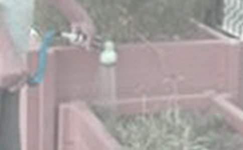 �������꼶��������3ƪ