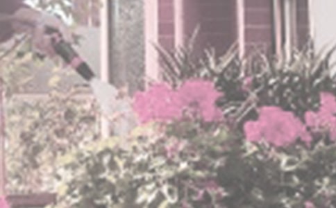 �������꼶����������ƪ